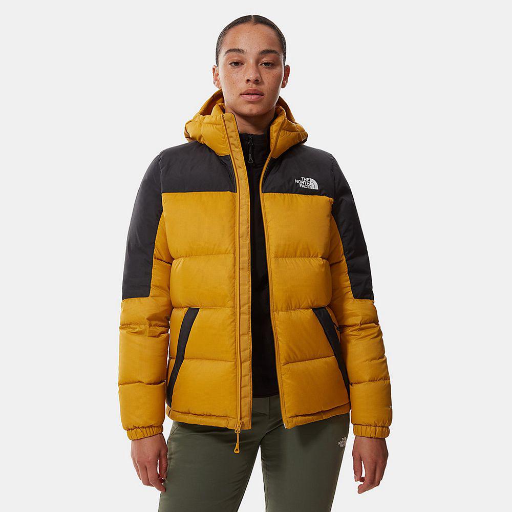 The North Face Diablo Hooded Γυναικεια Μπουφάν Πουπουλένια - Κίτρινα / Μαυρα (XGTW48025)